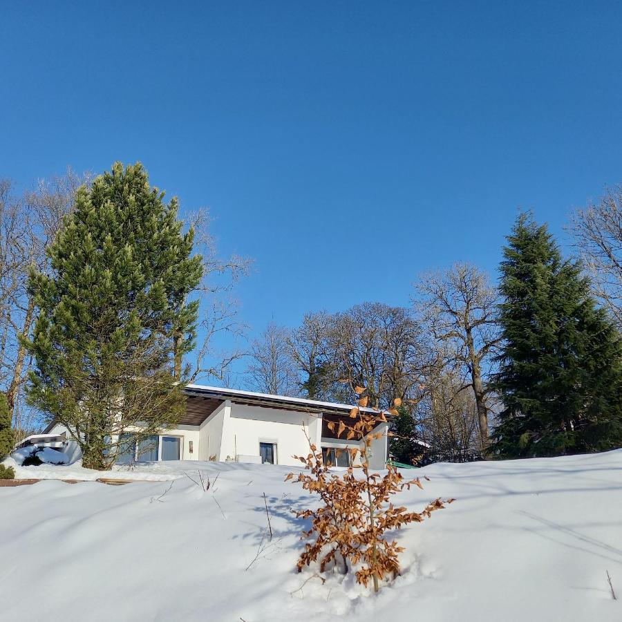 Adbs Ferienhaus Winterberg Exterior photo